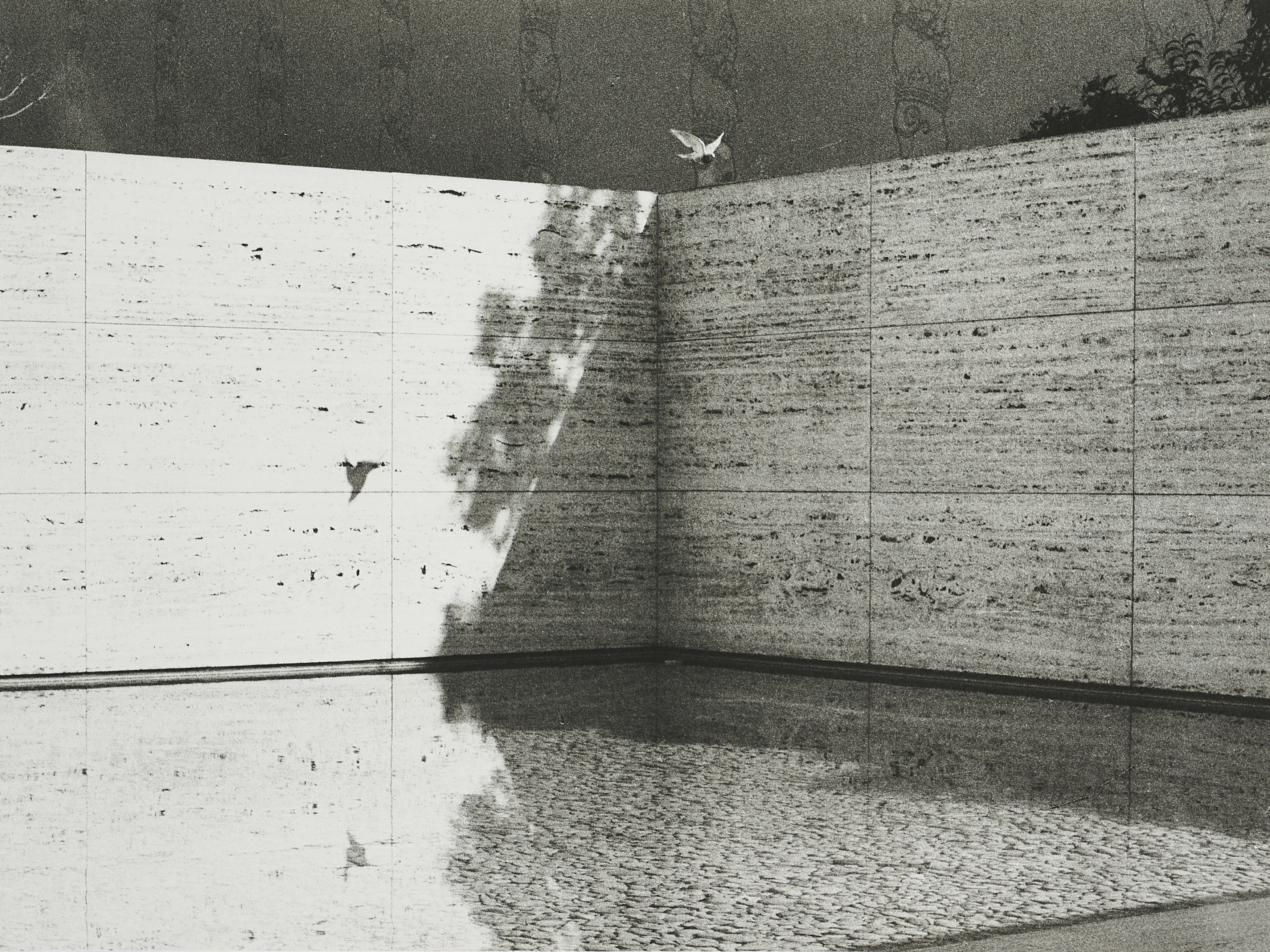 Jochen Lempert - Ohne Titel Barcelona Pavillion, 79527-310, Van Ham Kunstauktionen