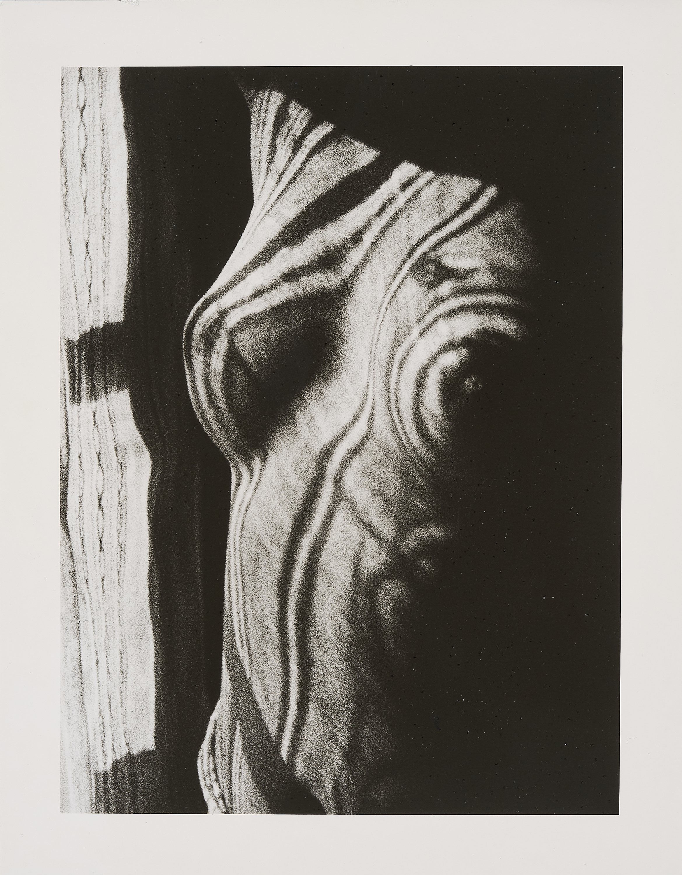 Man Ray - Retour a la raison 1923, 75534-2, Van Ham Kunstauktionen