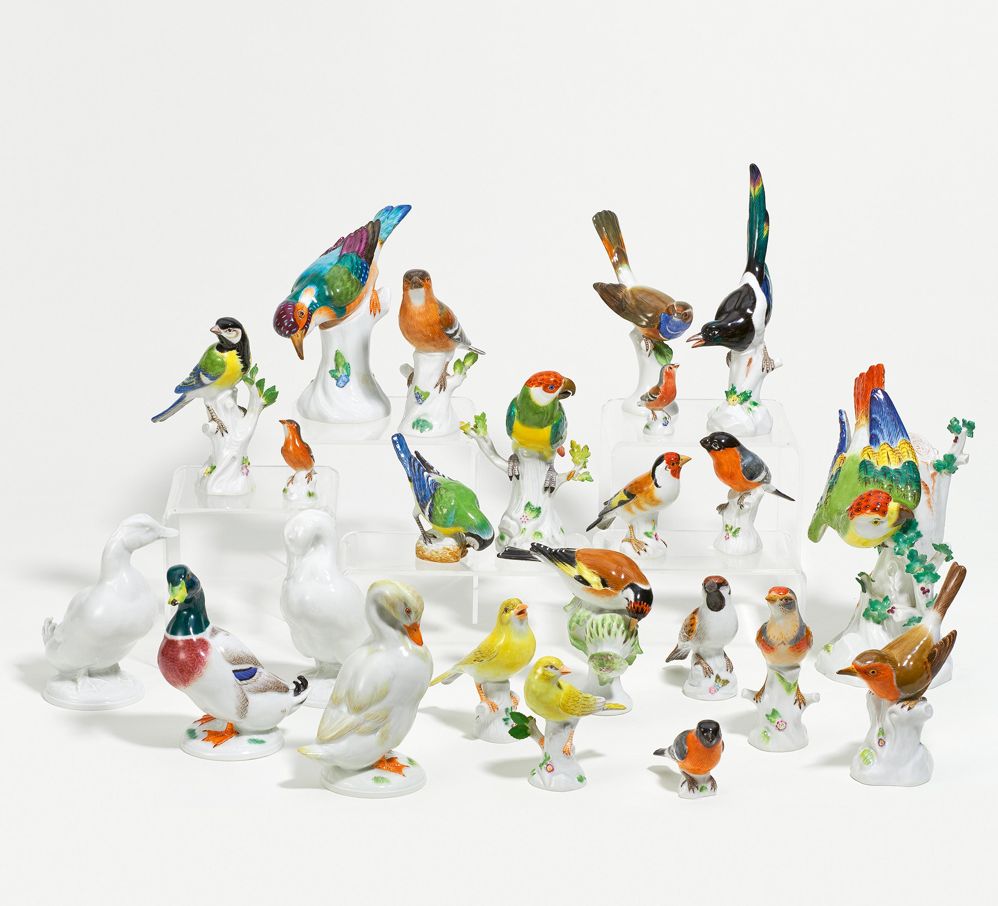 Meissen - Sammlung von 17 Vogelfiguren, 68388-1, Van Ham Kunstauktionen