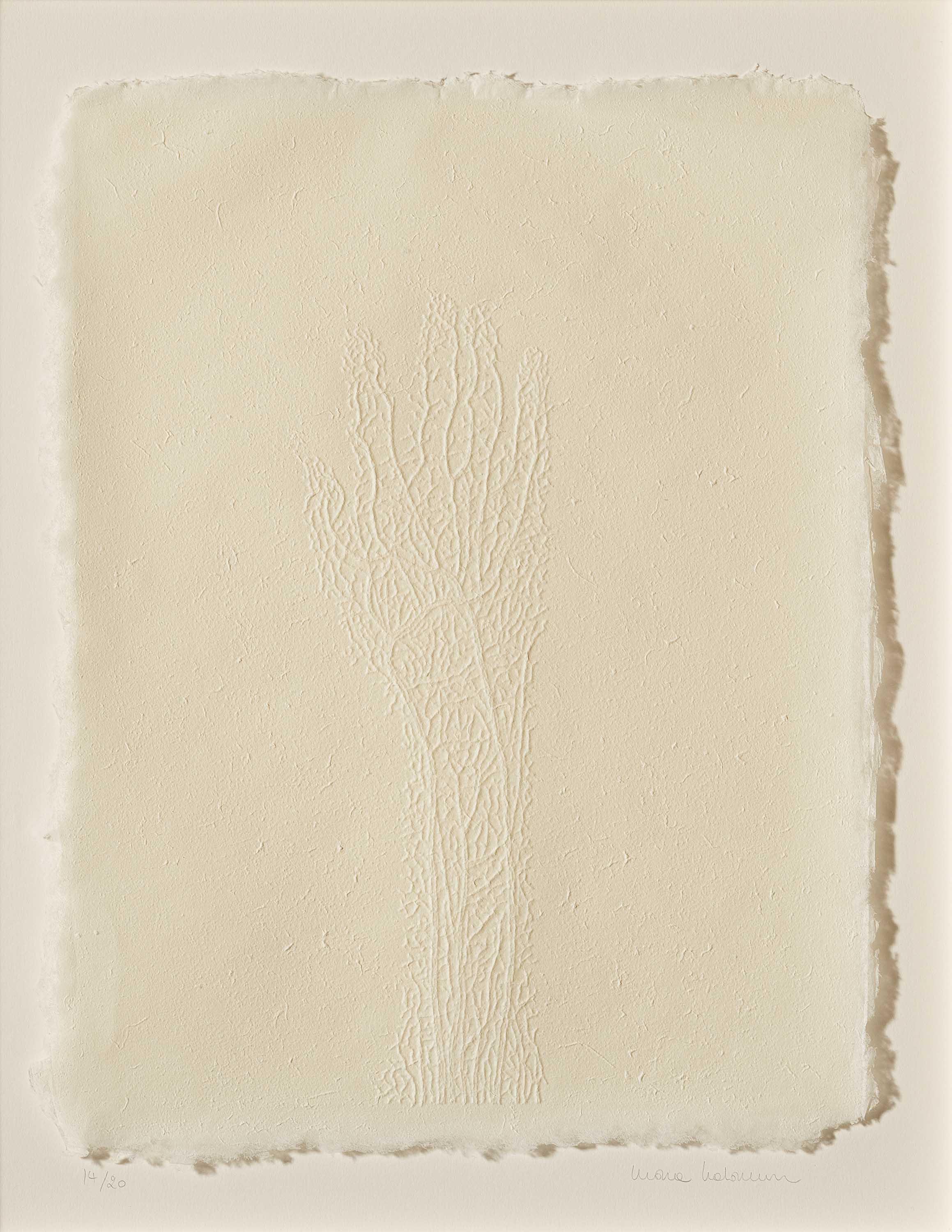 Mona Hatoum - Hand made paper, 73798-1, Van Ham Kunstauktionen