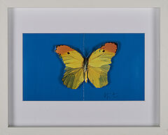 Damien Hirst - Butterfly, 75037-4, Van Ham Kunstauktionen