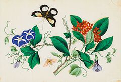 Drei Malereien mit Blumen und Schmetterlingen, 63195-31, Van Ham Kunstauktionen