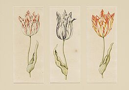 Anthony Claesz - Tulpen, 70258-3, Van Ham Kunstauktionen