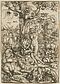 Lucas Cranach dAE - Der Suendenfall Adam und Eva im Paradies, 76309-4, Van Ham Kunstauktionen