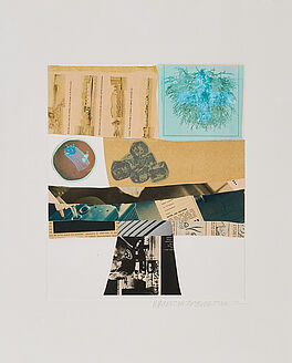 Robert Rauschenberg - Horsefeathers Thirteen-III, 69500-255, Van Ham Kunstauktionen