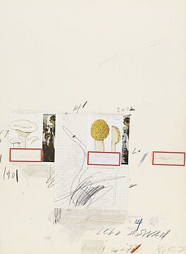 Cy Twombly - Aus Natural history part I - Mushrooms I, 59076-5, Van Ham Kunstauktionen