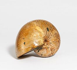 Madagascar - Nautilus Cenoceras sp, 68008-430, Van Ham Kunstauktionen