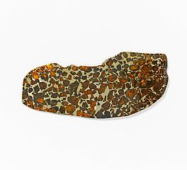 Scheibe des Pallasovka Meteoriten, 68008-448, Van Ham Kunstauktionen