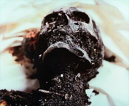 Andres Serrano - The Morgue Burnt to Death, 68004-210, Van Ham Kunstauktionen