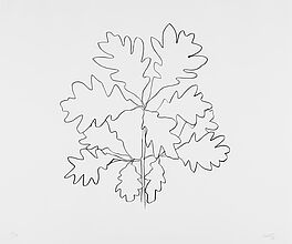 Ellsworth Kelly - Oak VI, 70001-762, Van Ham Kunstauktionen