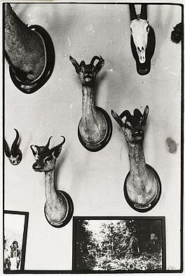 Zoe Leonard - Trophies, 57078-2, Van Ham Kunstauktionen