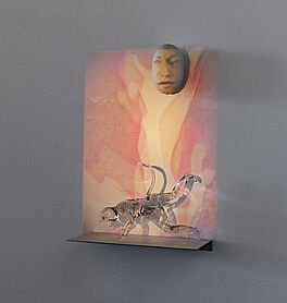 Tony Oursler - Medium Combustion, 68005-21, Van Ham Kunstauktionen