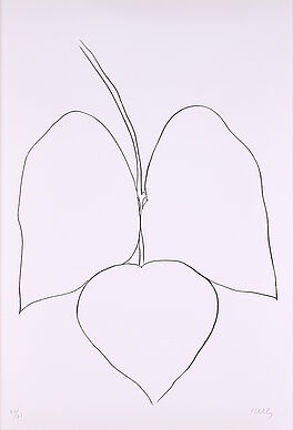 Ellsworth Kelly - String Bean Leaves I Haricot Vert I, 76000-550, Van Ham Kunstauktionen