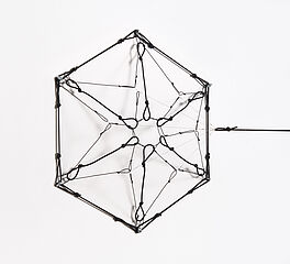 Tomas Saraceno - Network 5, 70387-129, Van Ham Kunstauktionen