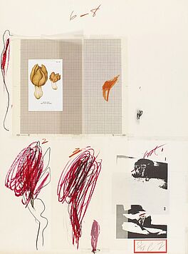 Cy Twombly - Aus Natural history part I - Mushrooms IX, 59076-4, Van Ham Kunstauktionen