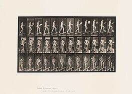 Eadweard Edward James Muybridge - Animal Locomotion Plate 78, 68004-183, Van Ham Kunstauktionen