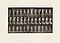 Eadweard Edward James Muybridge - Animal Locomotion Plate 78, 68004-183, Van Ham Kunstauktionen