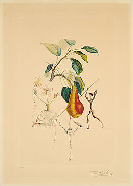 Salvador Dali - Poire Don Quichotte Aus Flordali Les Fruits, 77823-6, Van Ham Kunstauktionen