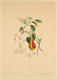 Salvador Dali - Poire Don Quichotte Aus Flordali Les Fruits, 77823-6, Van Ham Kunstauktionen