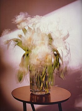 Michael Wesely - Weisse Tulpen, 58844-44, Van Ham Kunstauktionen