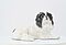 Meissen - Japanischer Chinhund, 75074-55, Van Ham Kunstauktionen