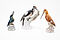 KPM - Drei Vogelfiguren, 75074-83, Van Ham Kunstauktionen