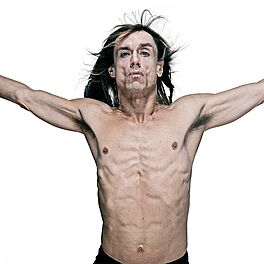 Gavin Evans - The Iggy Pop Godpixel, 73069-3, Van Ham Kunstauktionen