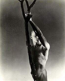 George Platt Lynes - Auktion 318 Los 1176, 50618-7, Van Ham Kunstauktionen