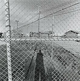 Lee Friedlander - Auktion 318 Los 1089, 50904-7, Van Ham Kunstauktionen