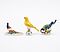 Meissen - Drei Vogelfiguren Meise auf Nuss Kanarienvogel und Fasan, 76682-11, Van Ham Kunstauktionen