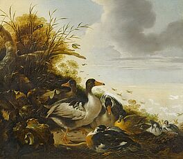 Gysbert Gillisz de Hondecoeter - Enten am Seeufer, 64145-2, Van Ham Kunstauktionen