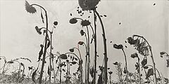 Anselm Kiefer - Unfruchtbare Landschaften II, 78040-1, Van Ham Kunstauktionen