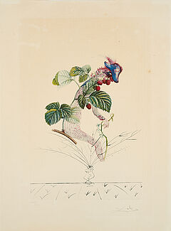 Salvador Dali - Framboisier Aus Flordali  Les Fruits, 77823-1, Van Ham Kunstauktionen