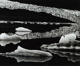 Brett Weston - Auktion 323 Los 1174, 46670-46, Van Ham Kunstauktionen