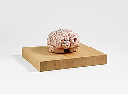 Jan Fabre - The Brain of a Messenger of Death, 68003-521, Van Ham Kunstauktionen