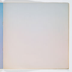 Bruce Nauman - CLEA RSKY, 77892-2, Van Ham Kunstauktionen