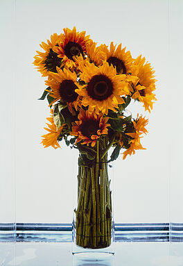 Marc Quinn - Sunflowers, 77669-91, Van Ham Kunstauktionen