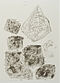 Joseph Beuys - Spur II, 65813-17, Van Ham Kunstauktionen